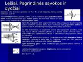 Lęšių rūšys 5 puslapis