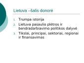 Lietuva – šalis donorė 2 puslapis