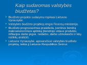Lietuva ir jos biudžetas 15 puslapis