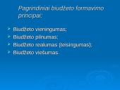 Lietuva ir jos biudžetas 17 puslapis