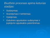 Lietuva ir jos biudžetas 7 puslapis