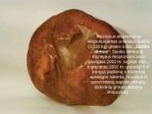 Įdomiausios Lietuvos lankytinos vietos 15 puslapis