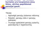 Lietuvos pensijų fondų veiklos apžvalga 2 puslapis