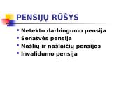 Lietuvos pensijų fondų veiklos apžvalga 4 puslapis