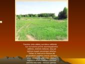 Lietuvos vandenys - ežerai, upės, jūra 18 puslapis