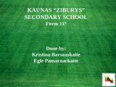 Facts about Lithuania and its people 2 puslapis