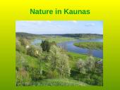 General information about Lithuania 11 puslapis