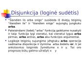 Loginiai kompiuterio pagrindai 6 puslapis
