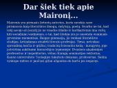 Maironio biografija ir kūryba 14 puslapis