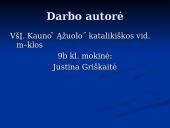 Maironio biografija ir kūryba 17 puslapis