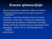 Maironio biografija ir kūryba 6 puslapis