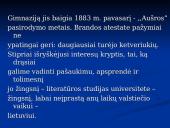 Maironio biografija ir kūryba 8 puslapis
