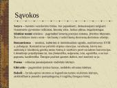 Maironis (1862-1932) bei jo kūryba 14 puslapis