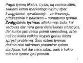 Marketingo informacija ir jos svarba 12 puslapis