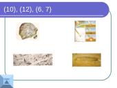 Mažieji dangaus kūnai 15 puslapis