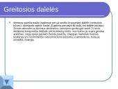 Mažieji dangaus kūnai 6 puslapis