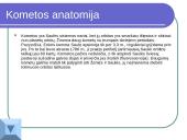 Mažieji dangaus kūnai 7 puslapis