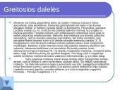 Mažieji dangaus kūnai 8 puslapis