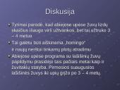 Mažųjų hidroelektrinių įtaka lašišinių žuvų Neršto migracijai 11 puslapis