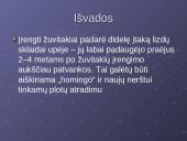 Mažųjų hidroelektrinių įtaka lašišinių žuvų Neršto migracijai 13 puslapis