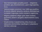 Mažųjų hidroelektrinių įtaka lašišinių žuvų Neršto migracijai 2 puslapis