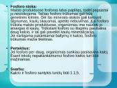 Mineralinės medžiagos ir jų rūšys 12 puslapis