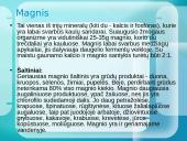 Mineralinės medžiagos ir jų rūšys 13 puslapis