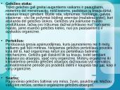 Mineralinės medžiagos ir jų rūšys 18 puslapis