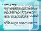 Mineralinės medžiagos ir jų rūšys 20 puslapis