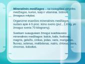 Mineralinės medžiagos ir jų rūšys 3 puslapis