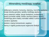 Mineralinės medžiagos ir jų rūšys 5 puslapis