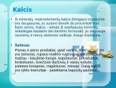 Mineralinės medžiagos ir jų rūšys 6 puslapis