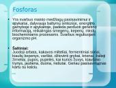 Mineralinės medžiagos ir jų rūšys 10 puslapis