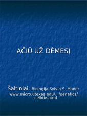 Mitozė augalų ląstelėse 9 puslapis