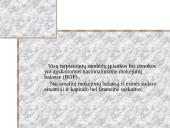 Nacionalinis mokėjimų balansas 2 puslapis