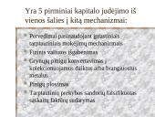 Nacionalinis mokėjimų balansas 8 puslapis