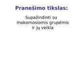Mokomosios grupės 2 puslapis