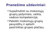 Mokomosios grupės 3 puslapis