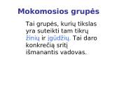 Mokomosios grupės 4 puslapis