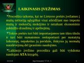 Muitinės funkcijos ir procedūros 12 puslapis