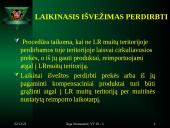 Muitinės funkcijos ir procedūros 13 puslapis