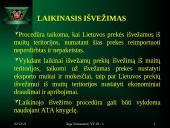 Muitinės funkcijos ir procedūros 14 puslapis