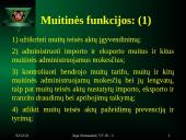 Muitinės funkcijos ir procedūros 4 puslapis