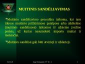 Muitinės funkcijos ir procedūros 9 puslapis