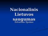 Nacionalinis Lietuvos saugumas