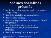 Nacionalinis Lietuvos saugumas 11 puslapis