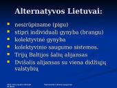 Nacionalinis Lietuvos saugumas 15 puslapis