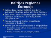 Nacionalinis Lietuvos saugumas 3 puslapis