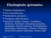 Nacionalinis Lietuvos saugumas 6 puslapis