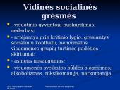 Nacionalinis Lietuvos saugumas 10 puslapis